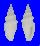 MITRIDAE COSTELLARIA SPICATA shell