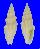 MITRIDAE COSTELLARIA SPICATA shell