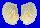ARCIDAE ANADARA NOTABILIS shell