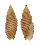 MITRIDAE DOMIPORTA FILARIS shell