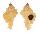 MURICIDAE CHICOMUREX GLORIOSUS shell