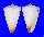 CONIDAE CONUS REDUCTASPIRALIS shell