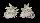 TURBINIDAE ASTRALIUM LAPILLUS shell