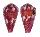 CONIDAE CONUS PERTUSUS AMABILIS shell