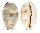 CYPRAEIDAE CYPRAEA KIENERI SCHNEIDERI shell