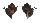 FRESHWATER TIPHOBIA HOREI shell
