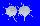 SPONDYLIDAE SPONDYLUS IMPERIALIS shell