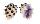 MURICIDAE DRUPA MORUM shell