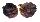 OSTREIDAE LOPHA CRISTAGALLI shell