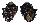 MURICIDAE THAIS INTERMEDIA shell