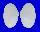 TELLINIDAE TELLINA ALTERNATA shell