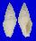 TURRIDAE BATHYTOMA ATRACTOIDES shell