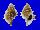 BURSIDAE BUFONARIA PERELEGANS shell