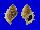 BURSIDAE BUFONARIA PERELEGANS shell