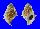 BURSIDAE BUFONARIA PERELEGANS shell