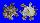 XENOPHORIDAE XENOPHORA MEKRANENSIS KONOI shell