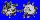 XENOPHORIDAE XENOPHORA MEKRANENSIS KONOI shell