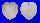 CARDIIDAE CORCULUM CARDISSA LORENZI shell