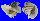 TONNIDAE TONNA SULCOSA shell