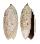 OLIVIDAE OLIVA OLIVA SAMARENSIS shell