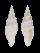 MITRIDAE VEXILLUM ANGULOSA shell