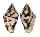 COLUMBELLIDAE PARAMETARIA DUPONTII shell