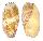 VOLUTIDAE MELO MILTONIS shell