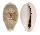 CYPRAEIDAE ERRONEA OVUM ERICI shell