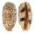 CYPRAEIDAE LYNCINA ARGUS shell