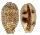 CYPRAEIDAE LYNCINA ARGUS shell