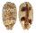 CYPRAEIDAE LYNCINA ARGUS shell