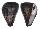CONIDAE CONUS LOROISII INSIGNIS shell