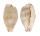 CYPRAEIDAE PURPURADUSTA MICRODON MICRODON shell