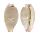 CYPRAEIDAE PURPURADUSTA MICRODON MICRODON shell