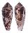 CONIDAE CONUS AUREUS shell