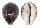 CYPRAEIDAE CYPRAEA TIGRIS shell