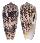 CONIDAE CONUS STRIATUS shell
