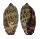 CYPRAEIDAE MAURITIA ARABICA shell