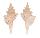 BUCCINIDAE SERRATIFUSUS LINEATUS shell