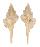 BUCCINIDAE SERRATIFUSUS LINEATUS shell