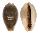 CYPRAEIDAE ERRONEA OVUM CHRYSOSTOMA shell