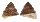 TURBINIDAE ASTRALIUM cf. TENTORIIFORME shell