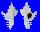 MURICIDAE CHICOREUS BANKSII CROCATUS shell