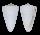 CONIDAE CONUS THEVENARDENSIS shell