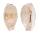CYPRAEIDAE CYPRAEA FIMBRIATA UNIFASCIATA shell