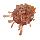 SPONDYLIDAE SPONDYLUS MULTILAMELLATUS shell