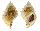 BURSIDAE BUFONARIA PERELEGANS shell