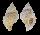 BURSIDAE BUFONARIA RANA shell