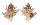CORALLIOPHILIDAE BABELOMUREX GEMMATUS shell