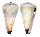CONIDAE CONUS DISTANS shell